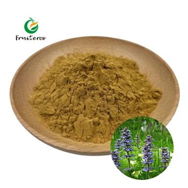 Extrait d'Ajuga Turkestanica Turkestérone